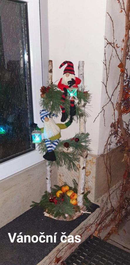 Apartman U Jakuba Dvůr Králové nad Labem Dış mekan fotoğraf