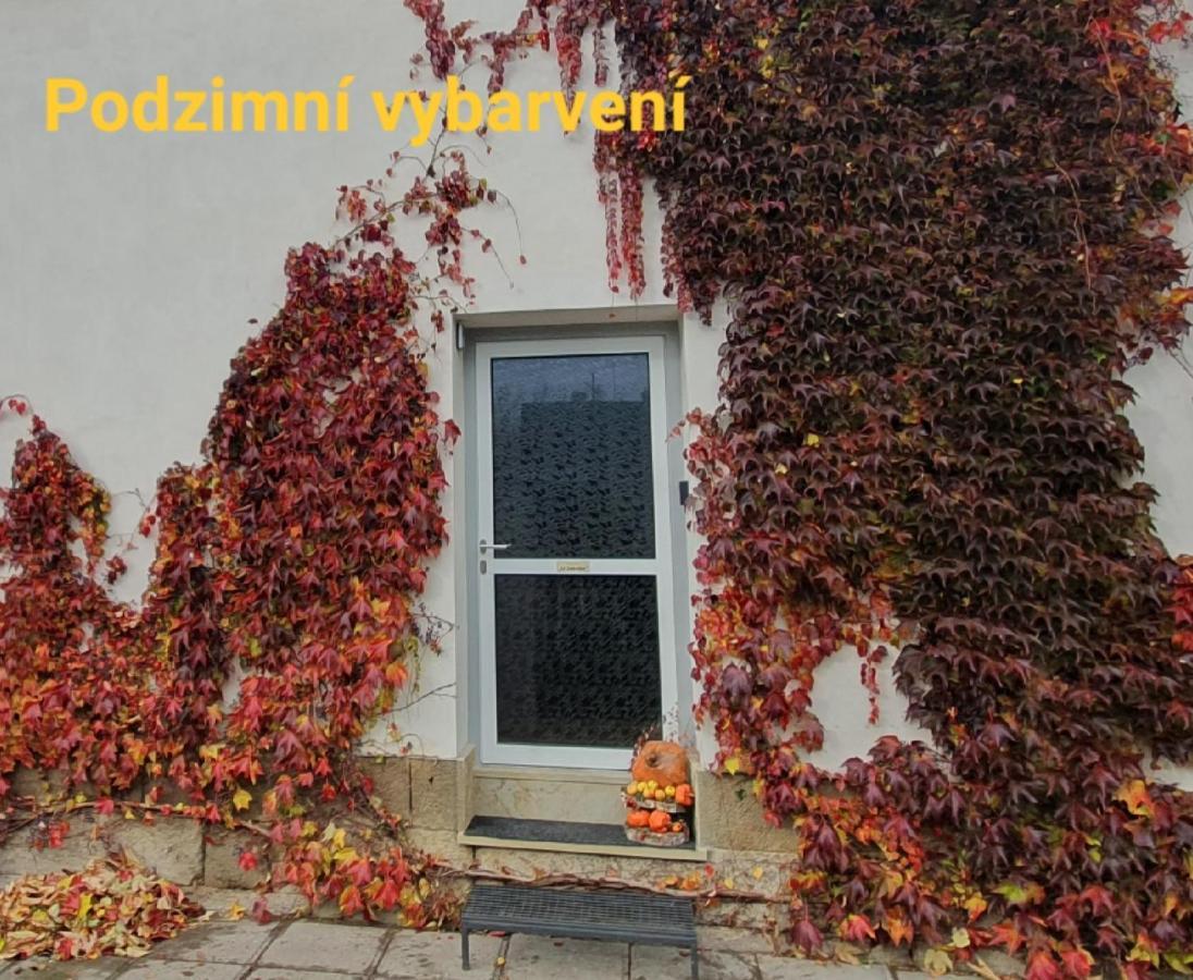 Apartman U Jakuba Dvůr Králové nad Labem Dış mekan fotoğraf